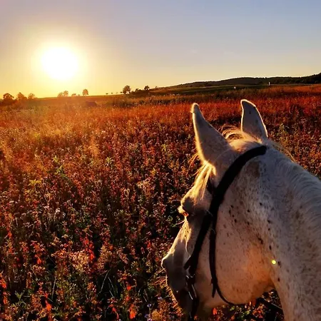 Am Bergblick Ferienhaus Sebnitz